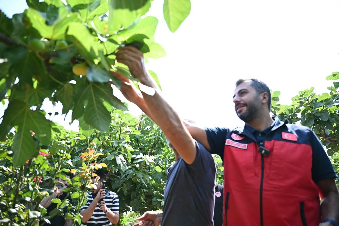 📍 Onikişubat Cüceli Mahallesicüceli Mahallemizde Gerçekleştirilen Abbas İnciri Hasadına Katıl (3)