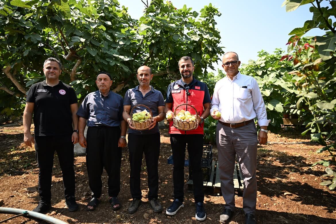 📍 Onikişubat Cüceli Mahallesicüceli Mahallemizde Gerçekleştirilen Abbas İnciri Hasadına Katıl