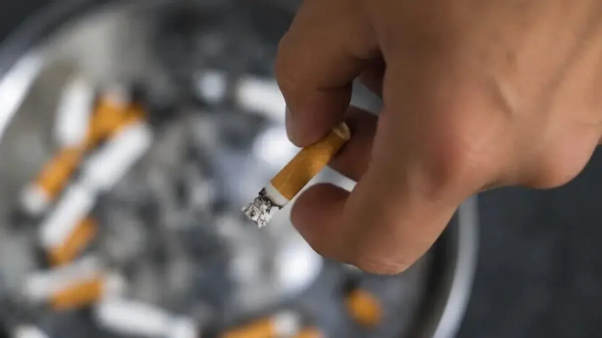 1200Xauto (17)-1