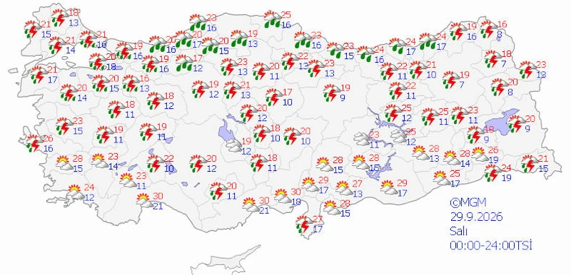 6Abad447778E6781 W790Xh381