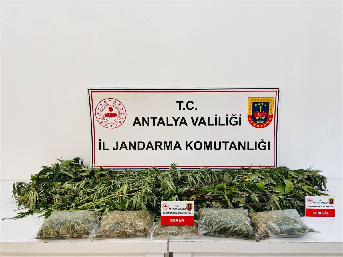 Alanya'da uyuşturucu operasyonunda 1 şüpheli yakalandı