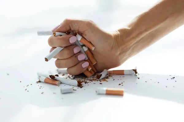 Depositphotos 138466064 Stock Photo Closeup Of Female Hand Holding