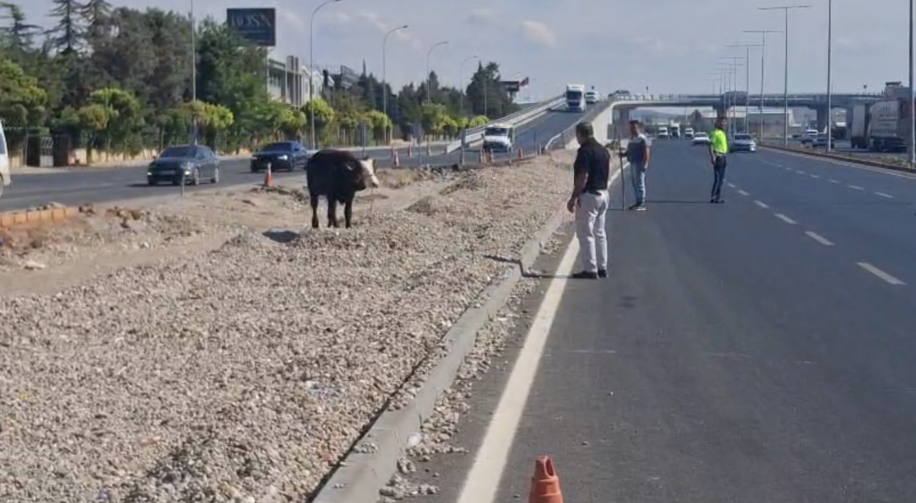 Ekran Görüntüsü 2026 09 25 152423