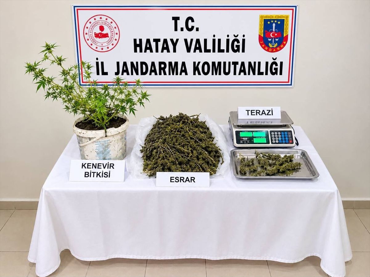 Hatay Kumlu’da Dev Uyuşturucu Operasyonu! Evinden Kilo Kilo Esrar Çıktı