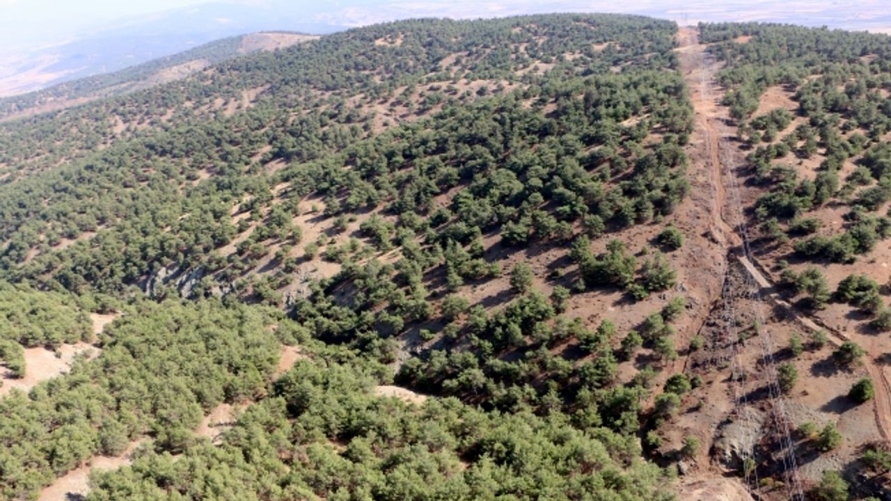 Kahramanmaraş'ta orman yangınlarıyla mücadele