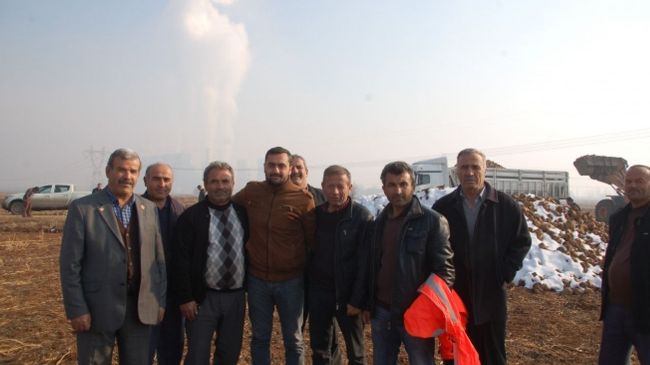 Kahramanmaraş'ta şeker pancarı alımı başladı