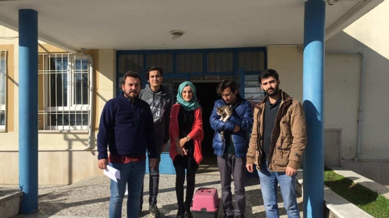 Büyükşehir hayvan sahiplendirmeye devam ediyor