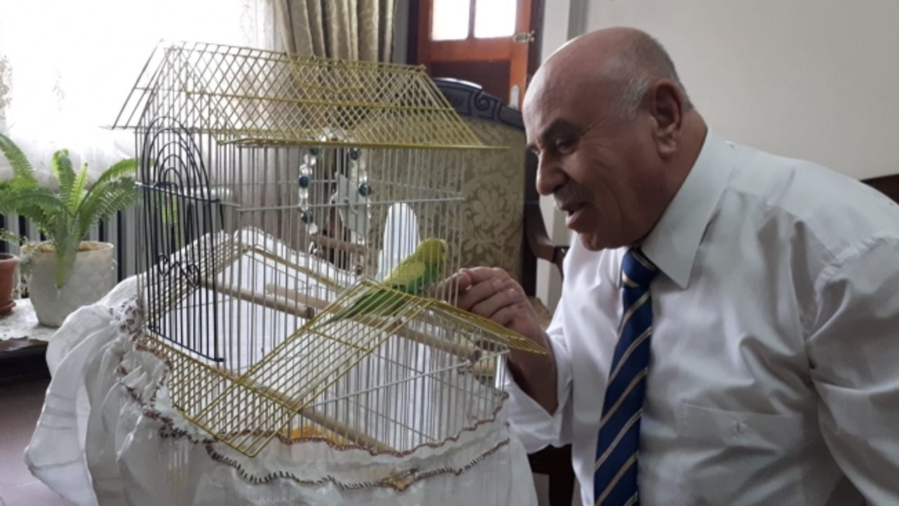 Muhabbet kuşu Paşa iki yılda konuşmayı öğrendi