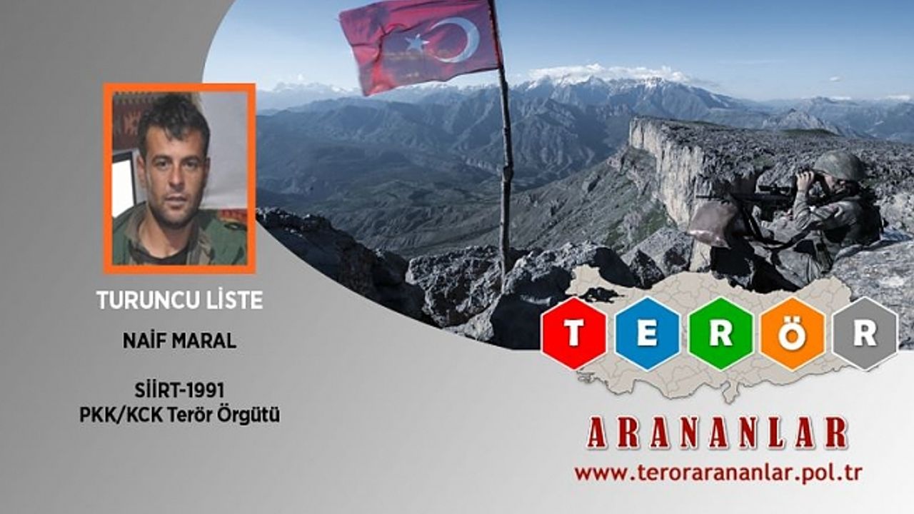 Siirt'te etkisiz hale getirilen terörist 'turuncu kategori'de aranan çıktı