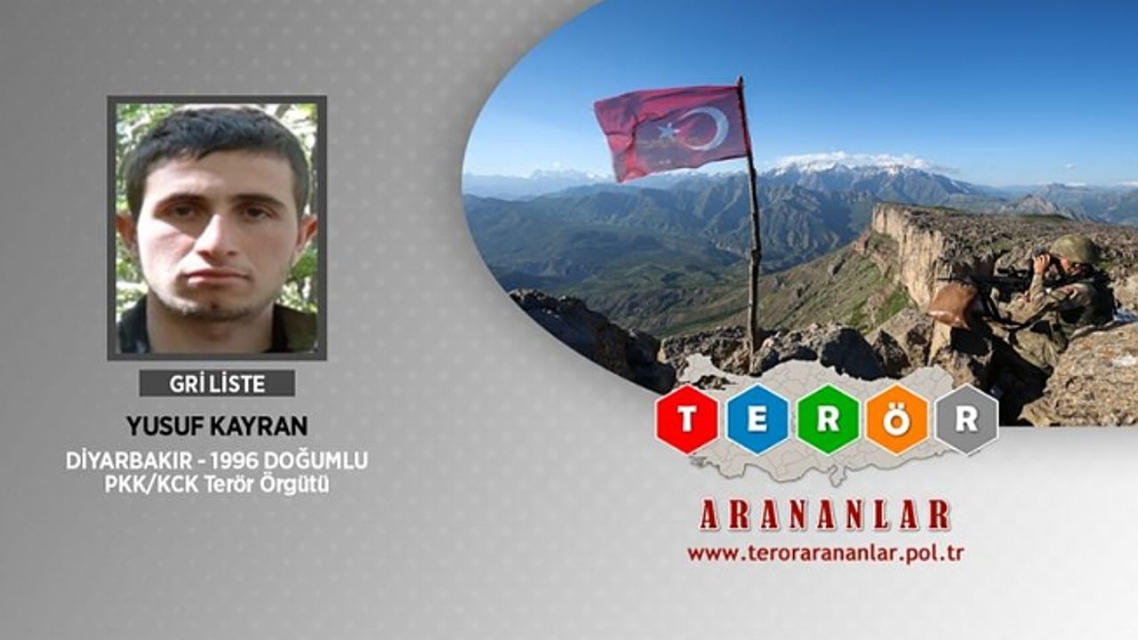 Lice'de etkisiz hale getirilen teröristlerden biri gri kategoride