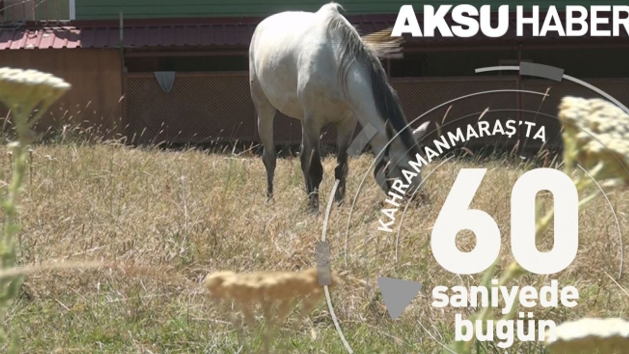 Kahramanmaraş'ta 60 Saniye'de Bugün [03 Temmuz 2019]