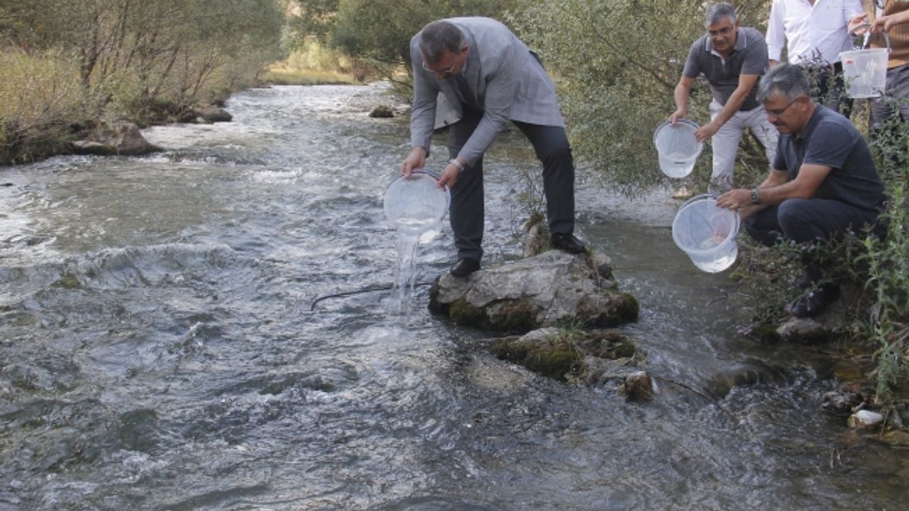 Kırmızı Benekli Yavrular Törbüzek Çayı ile buluştu
