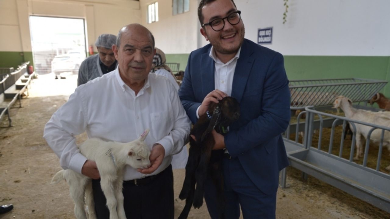 İtalyan Gazeteciden Tarihi İtiraf, Bakın ne dedi