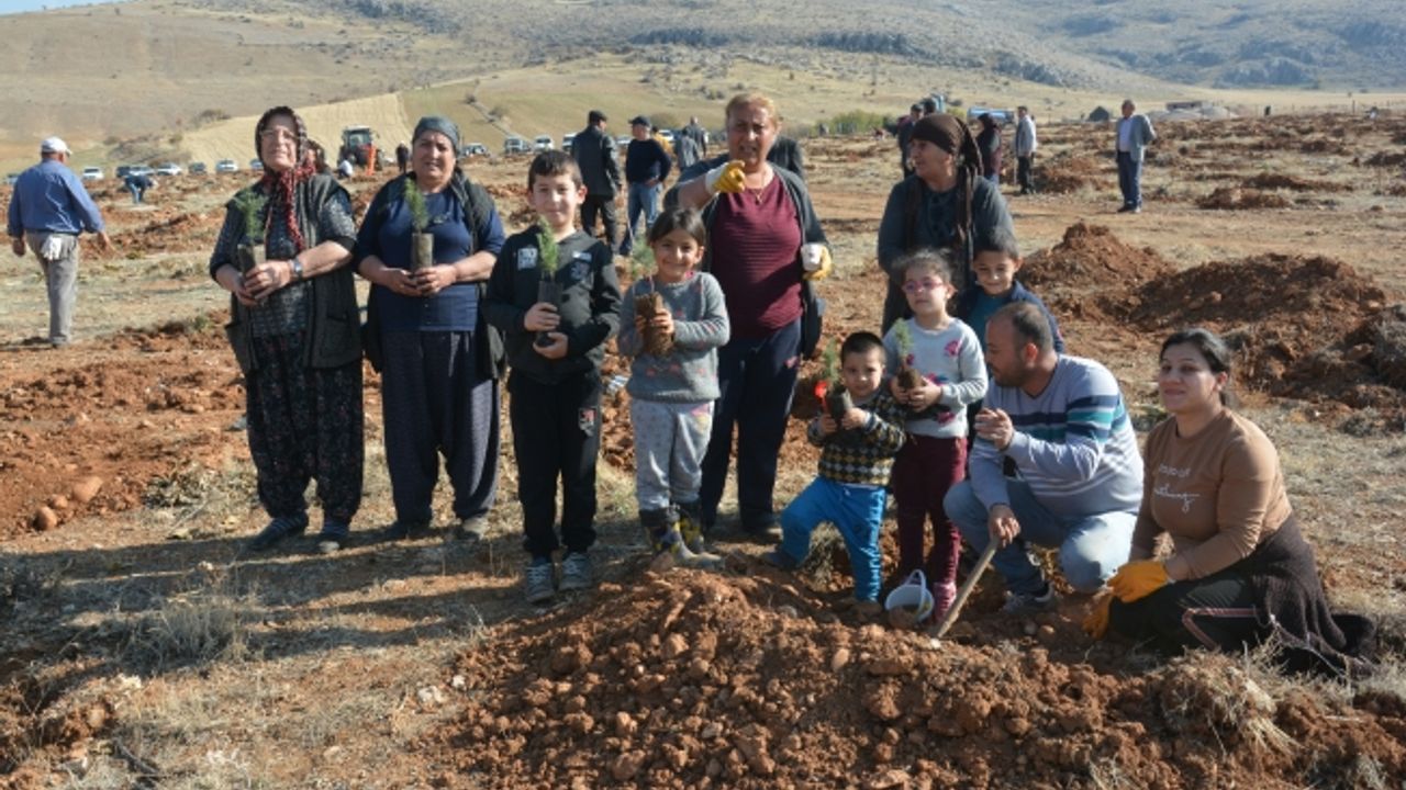Kahramanmaraş'ta mahalleli çöplük alanı ormana dönüştürüyor