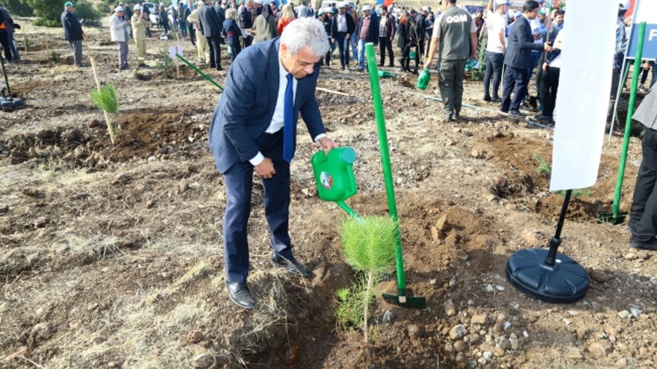 Zabun: “Gelecek Nesillere Bırakılacak En Büyük Hazine Ormandır”