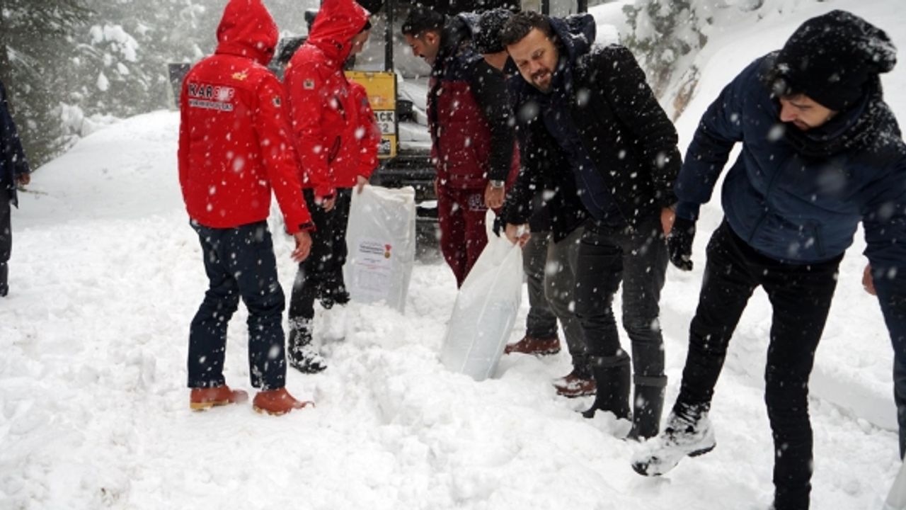 Doğaya Yem Bırakılarak Yaban Hayatı Unutulmadı!