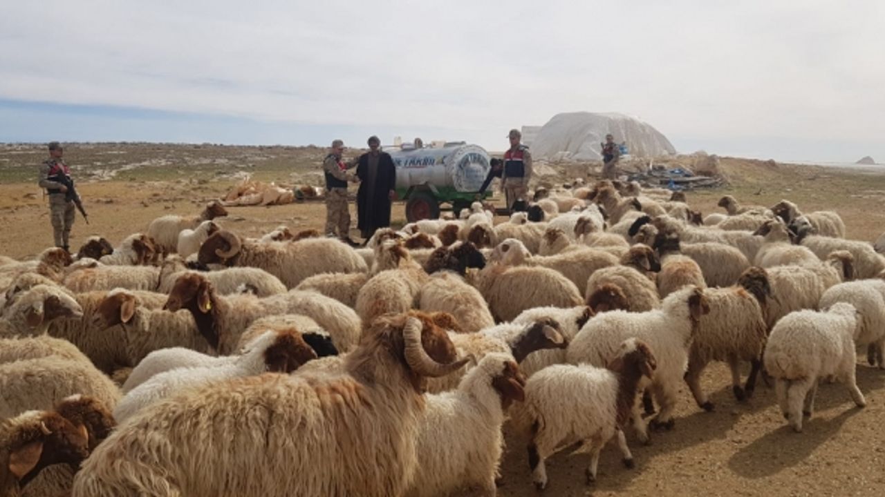 Hayvan Hırsızlığı Yapan 2 Kişi Tutuklandı!