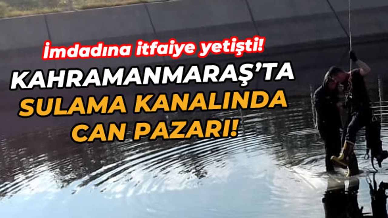 Kahramanmaraş'ta araç sulama kanalına uçtu! Sürücü sağ kurtarıldı!
