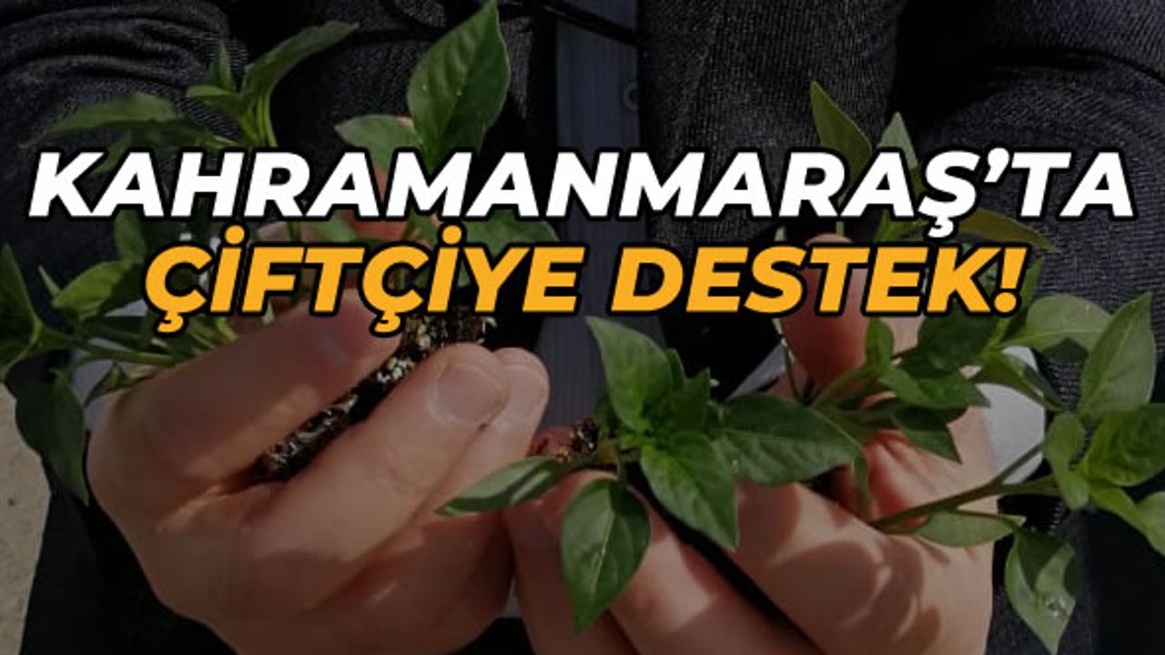 Kahramanmaraş'ta çiftçiye 1,5 milyon fide desteği!