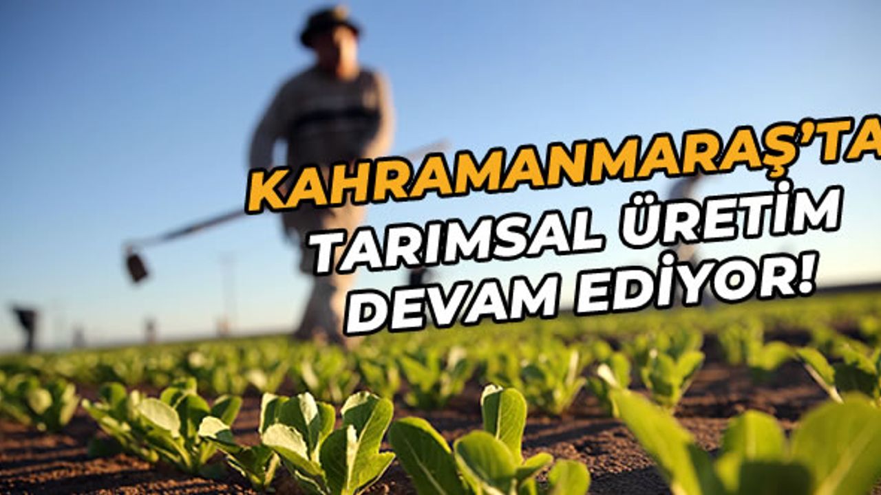 Kahramanmaraş’ta tarımsal üretim devam ediyor!