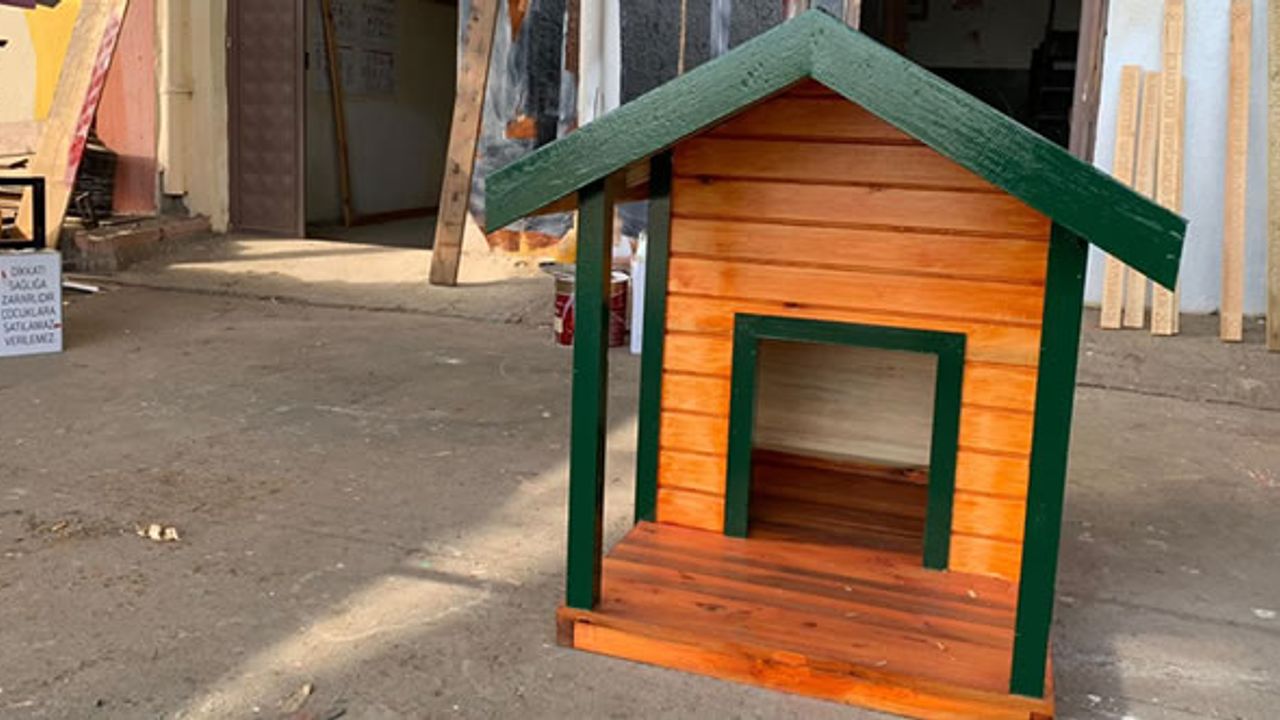 Köpek evleri montajı devam ediyor!