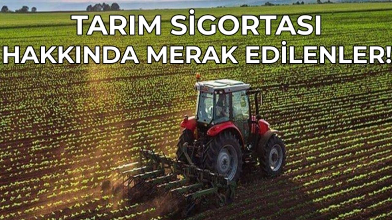 Tarım sigortası hakkında merak edilenler! Tarım sigortası nedir, kimleri kapsar?