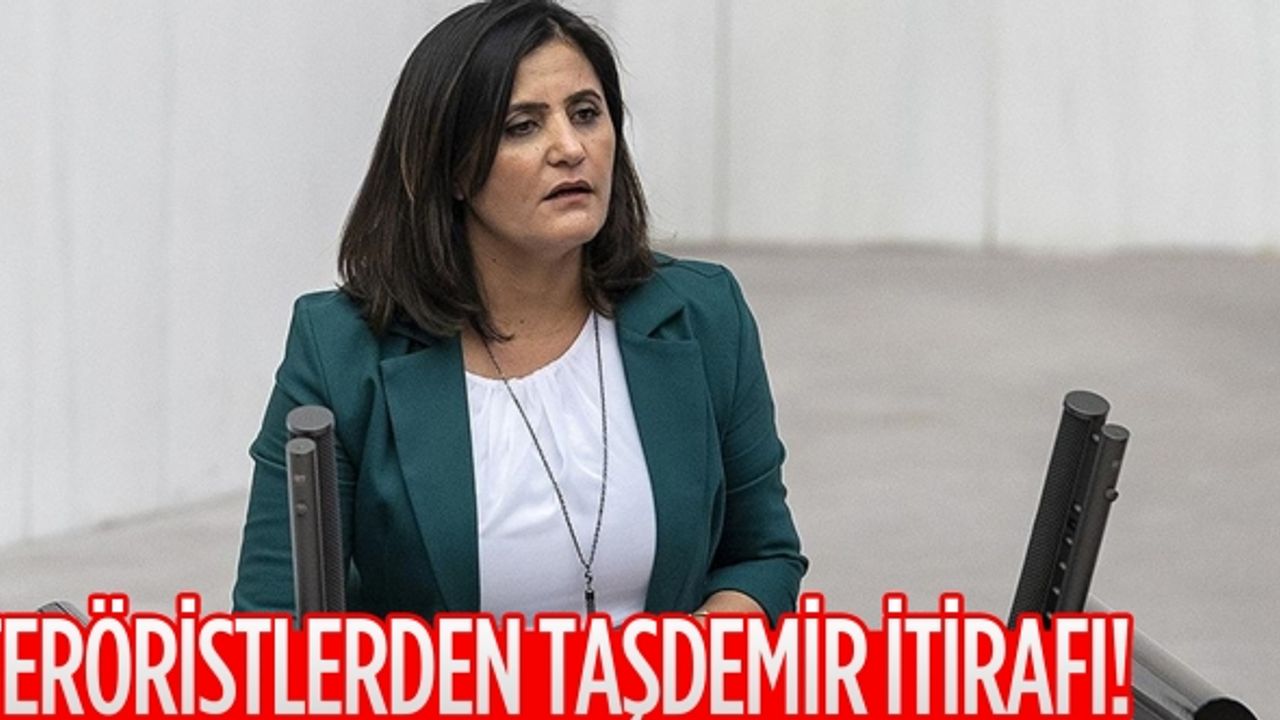 Teslim olan teröristler ifadelerinde HDP Milletvekili Taşdemir'in Gara'ya gittiğini anlattı