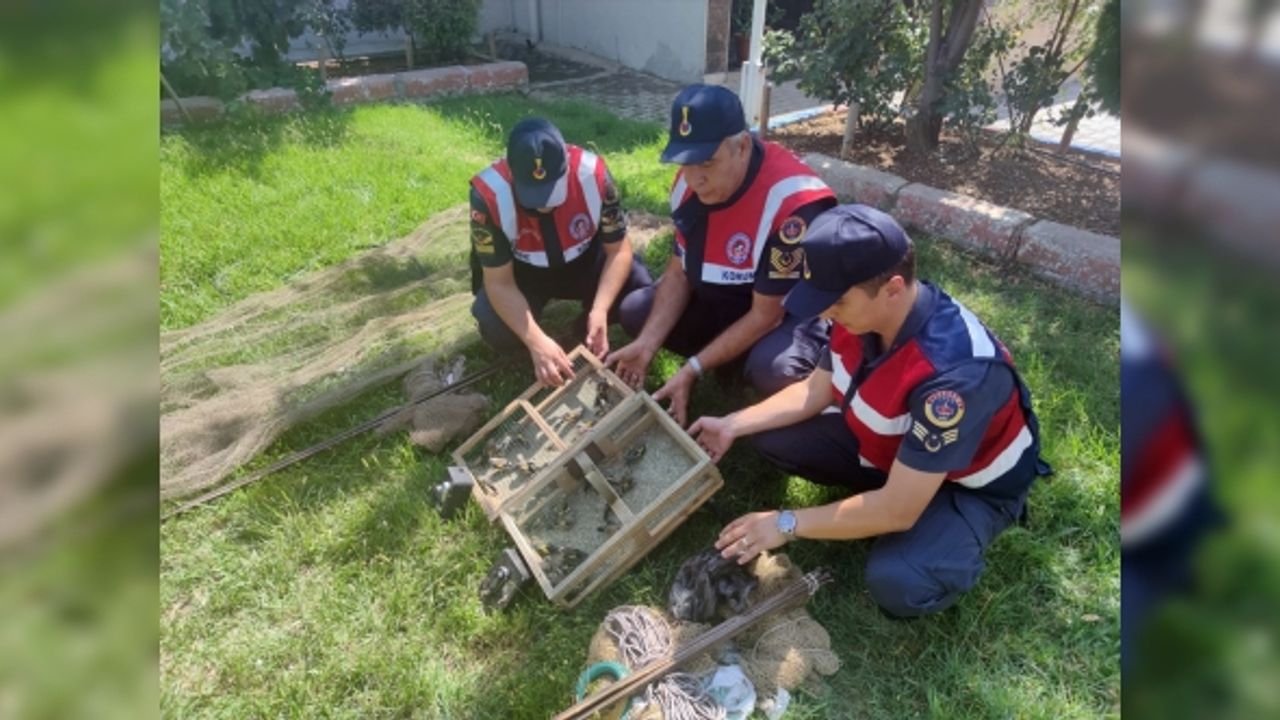 Kahramanmaraş'ta kaçak avcılara 43 bin lira ceza yazıldı