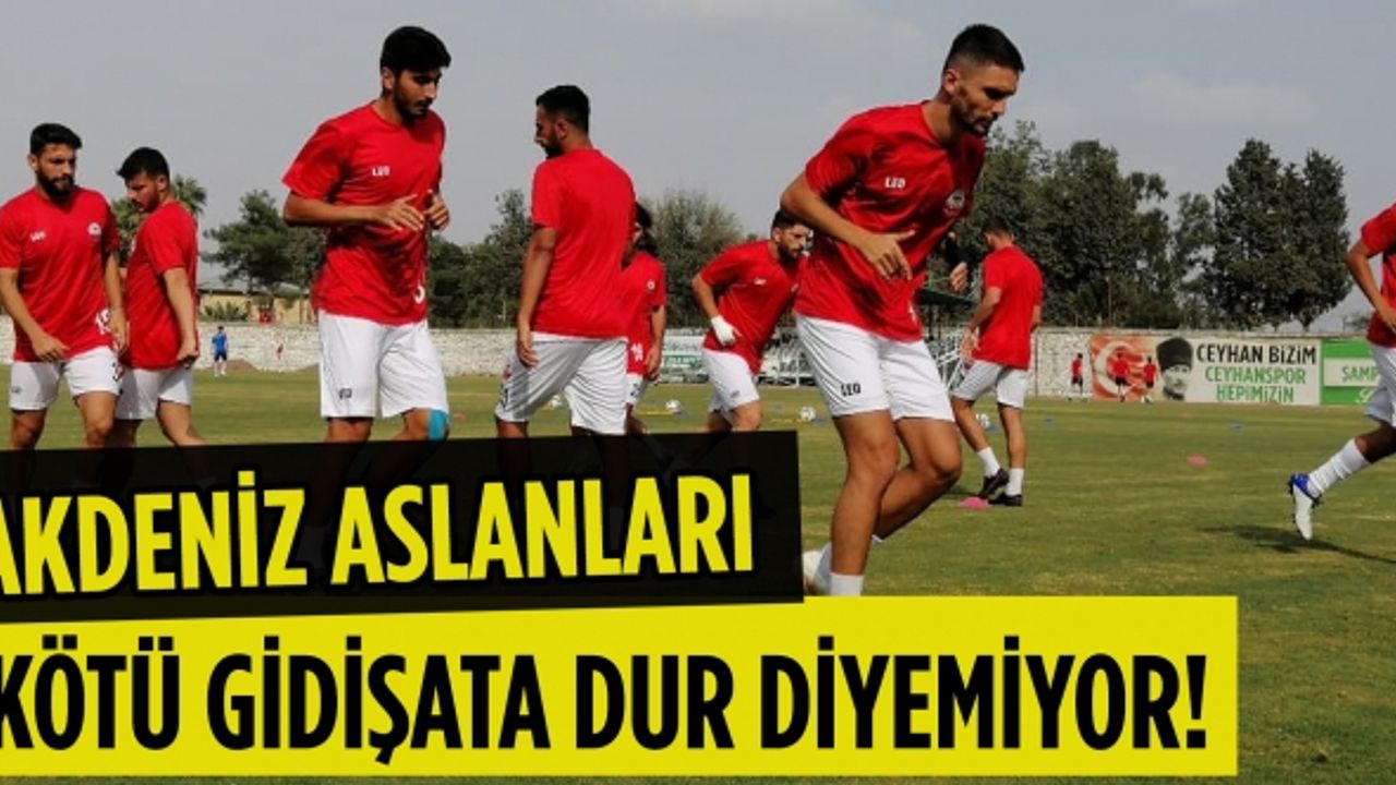 Akdeniz aslanları kötü gidişata dur diyemiyor!