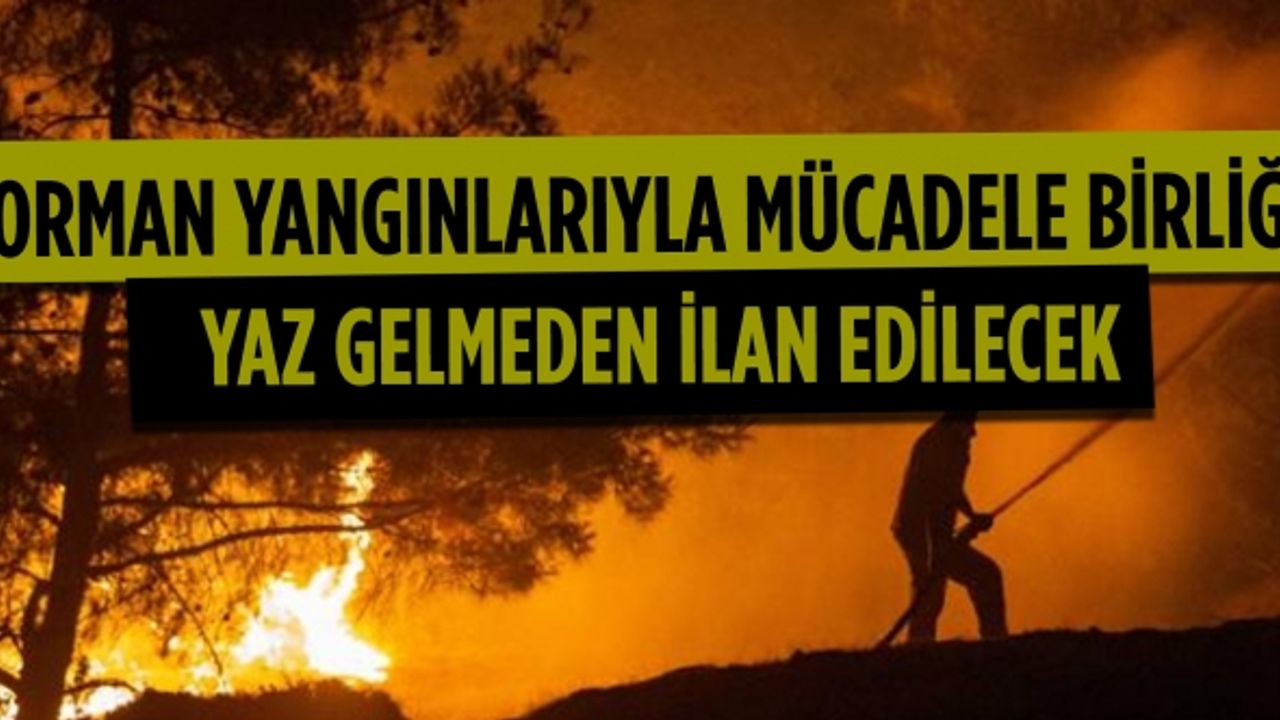 Avrasya Orman Yangınlarıyla Mücadele Birliği yaz gelmeden ilan edilecek