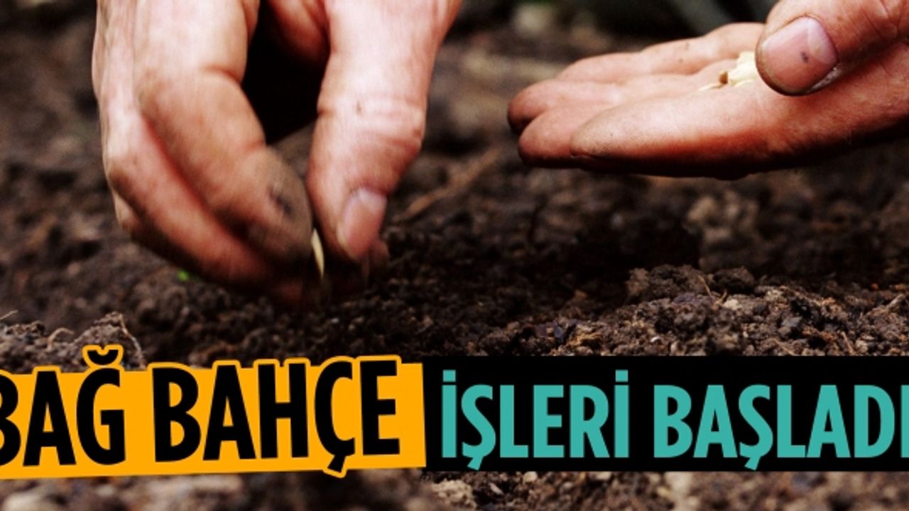 Baharın ilk günlerinde bağ bahçe işleri başladı!
