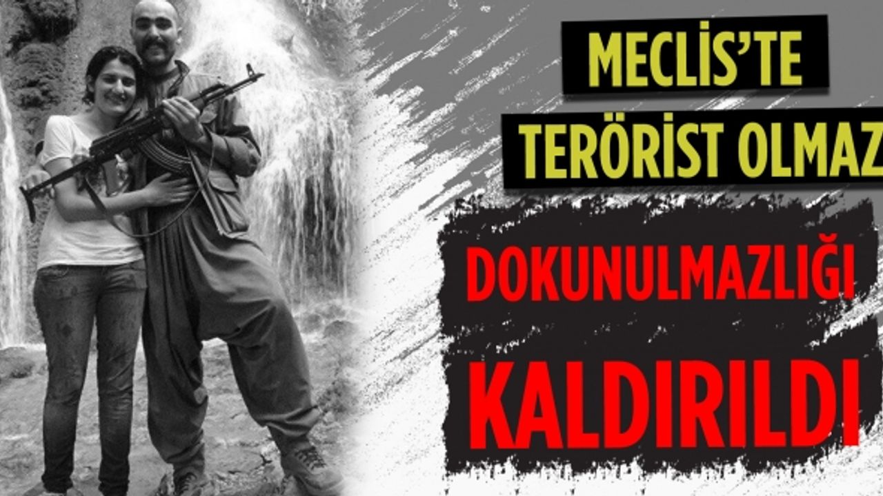 HDP'li Semra Güzel hakkında flaş karar!