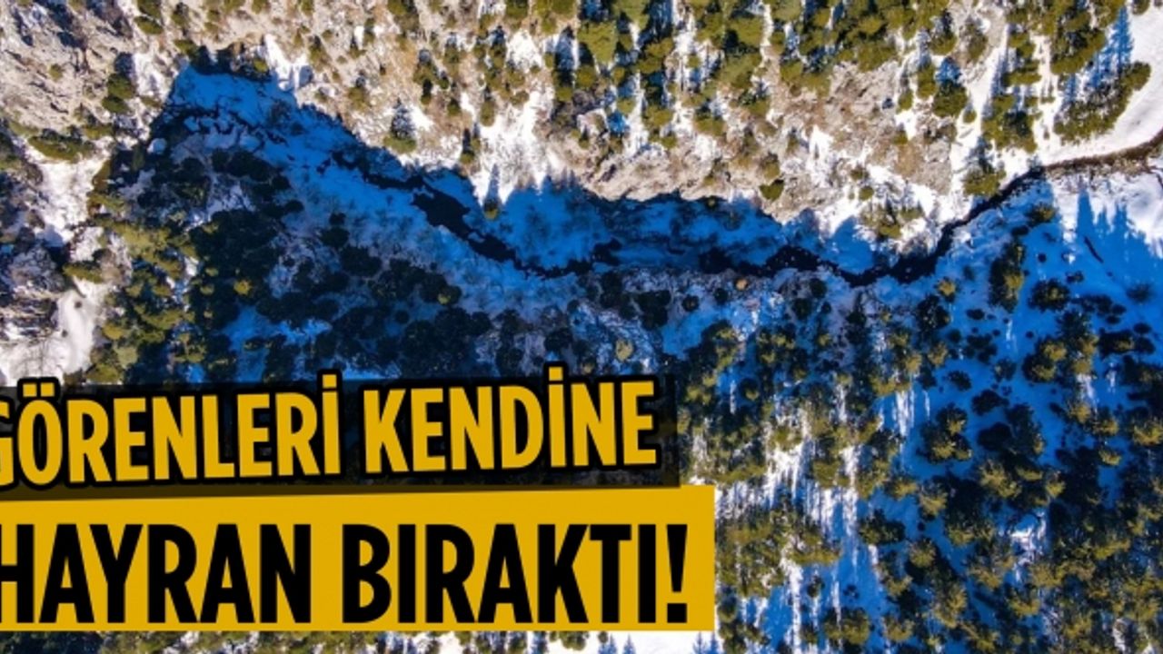 Karga çayırı görenleri kendine hayran bıraktı!