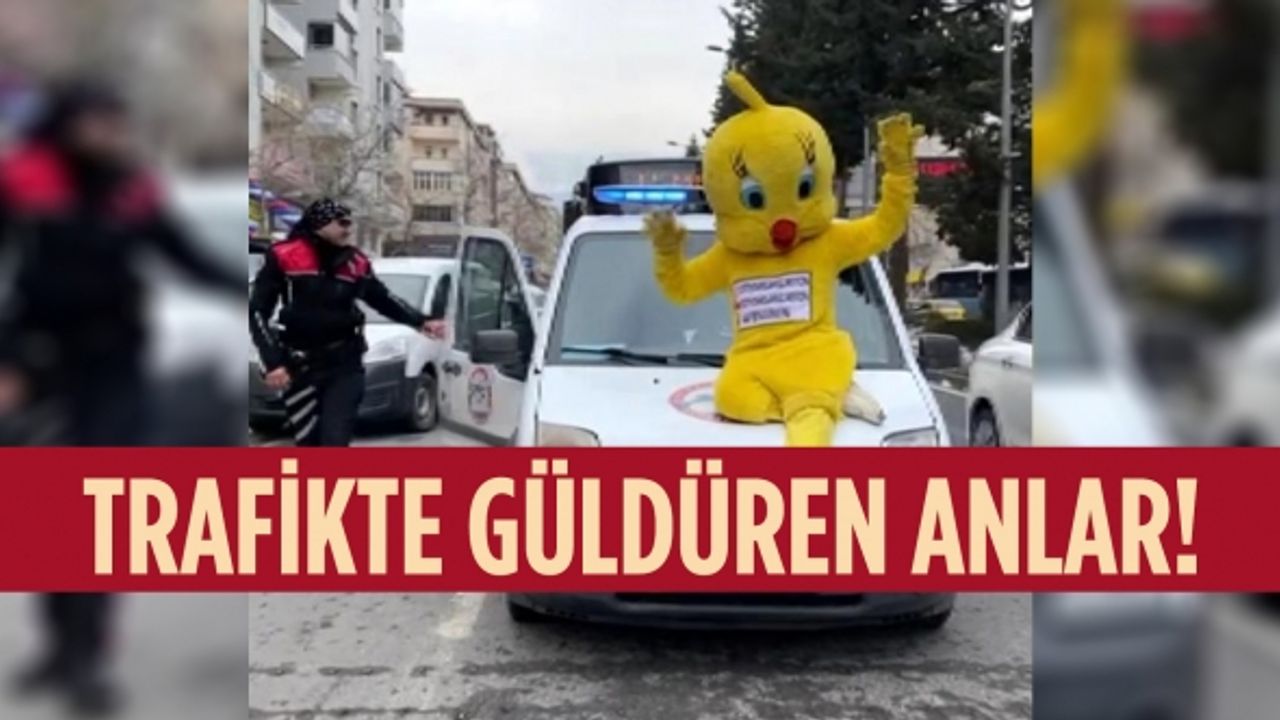 Polis aracının kaputuna oturan civciv kostümlü vatandaş kafese konuldu
