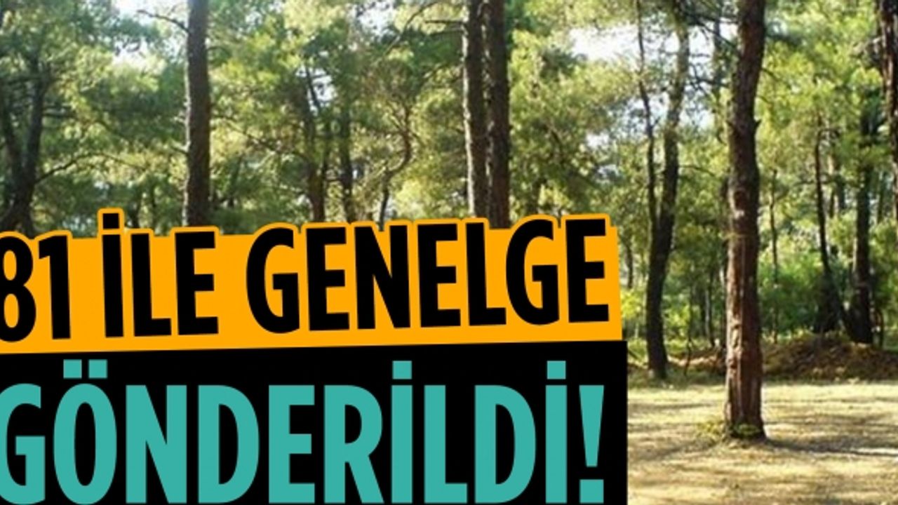 81 ile genelge gönderildi: Orman alanlarına giriş yasaklanacak