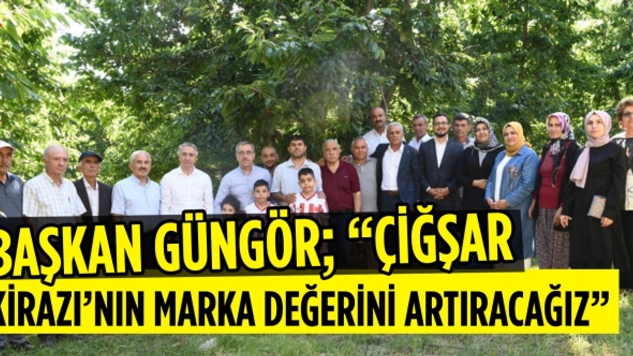 Başkan Güngör; “Çiğşar Kirazı’nın Marka Değerini Artıracağız”