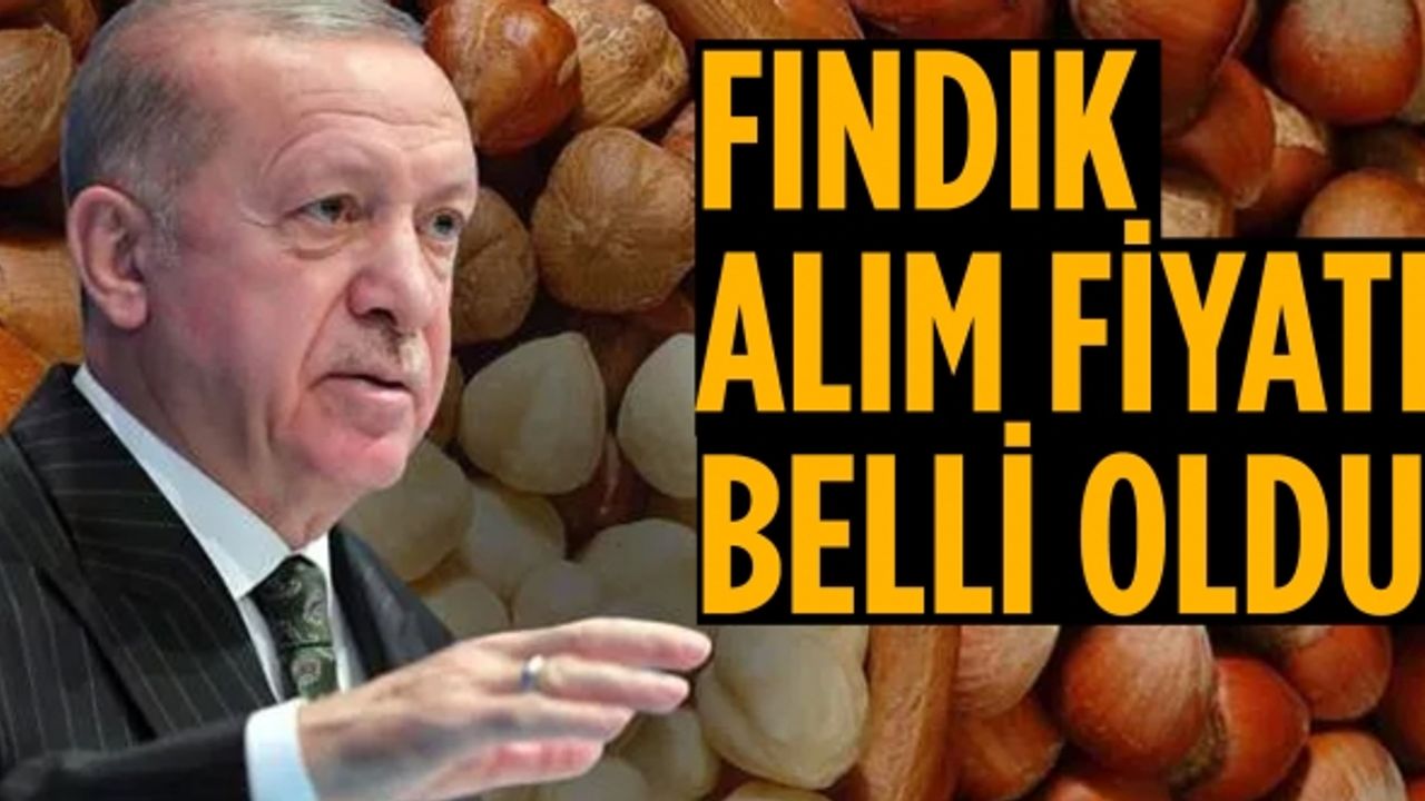 Cumhurbaşkanı Erdoğan fındık alım fiyatını açıkladı