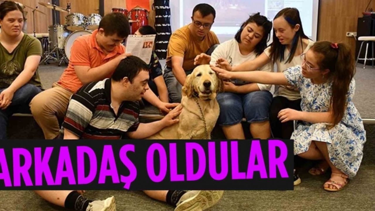 Eğitimli köpek 'Max' Down sendromlu çocukların yol arkadaşı oldu