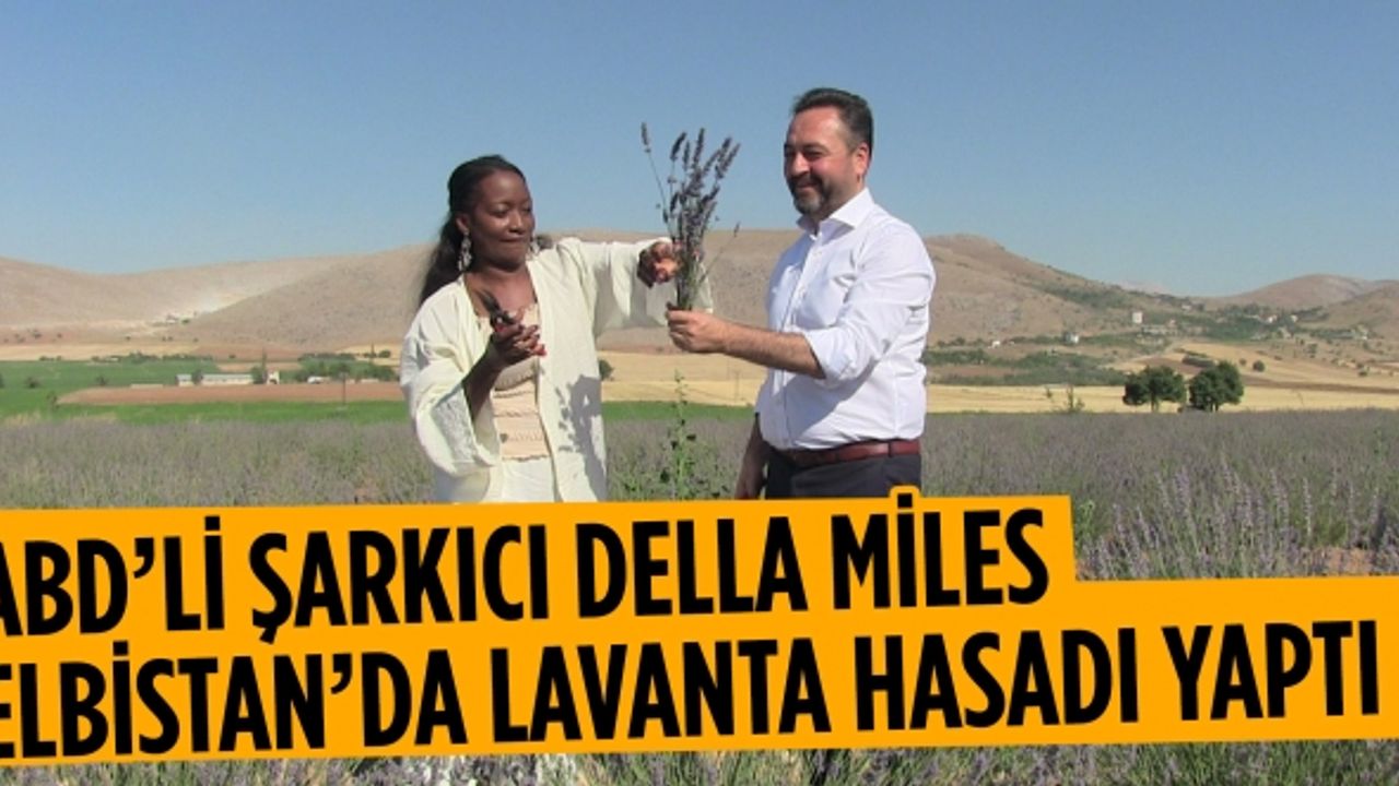 ABD’li şarkıcı Della Miles Elbistan’da lavanta hasadı yaptı