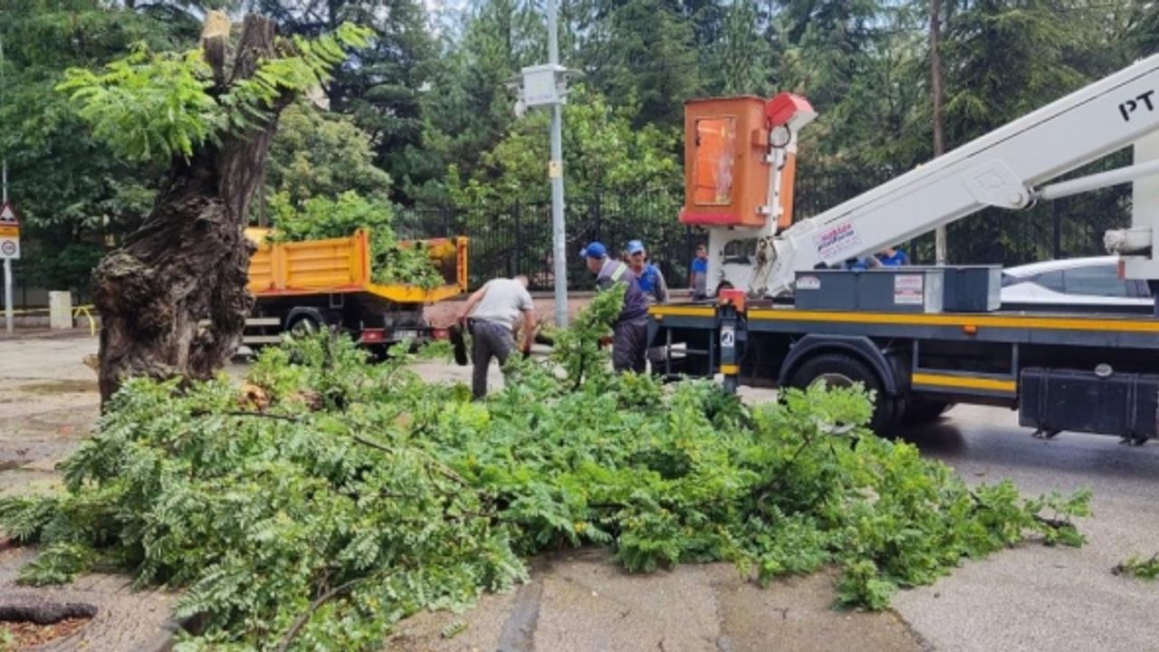 Çürük ağaç kırılarak, seyir halindeki otomobilin üzerine düştü