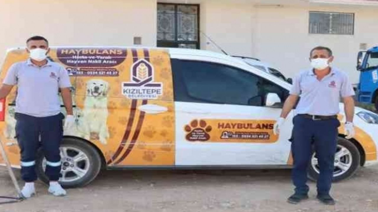 Kızıltepe'de 'Haybulans' sokak hayvanlarının imdadına koşuyor