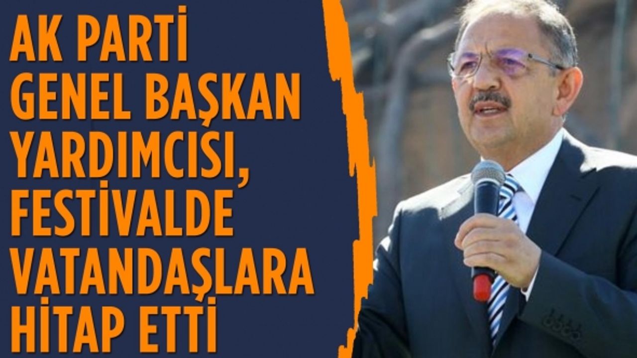 AK Parti Genel Başkan Yardımcısı Özhaseki festivalde vatandaşlara hitap etti