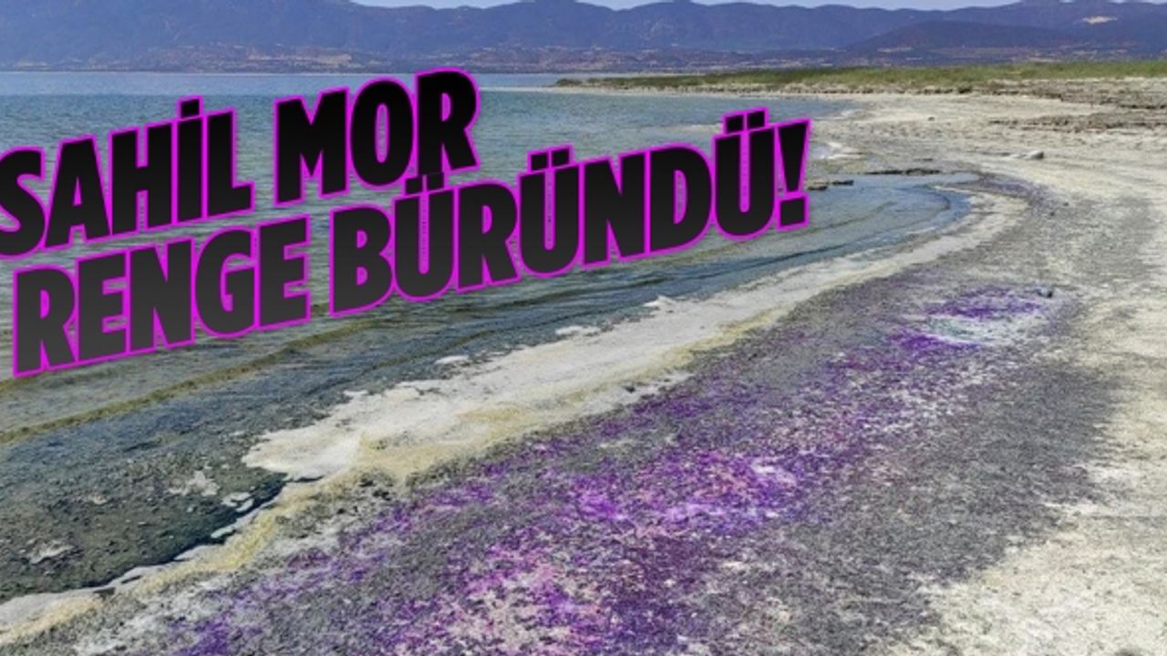 Burdur Gölü sahili mor renge büründü