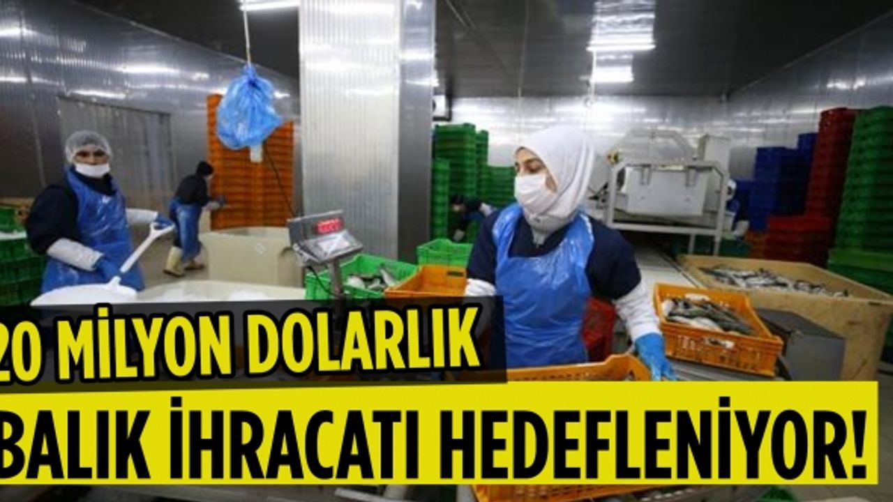 Denizi olmayan kent, 20 milyon dolarlık balık ihracatı hedefliyor!