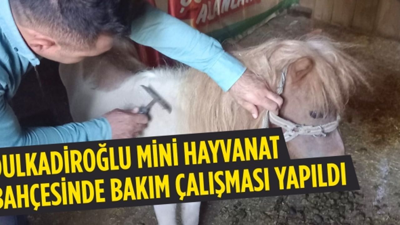 Dulkadiroğlu mini hayvanat bahçesinde bakım çalışması yapıldı