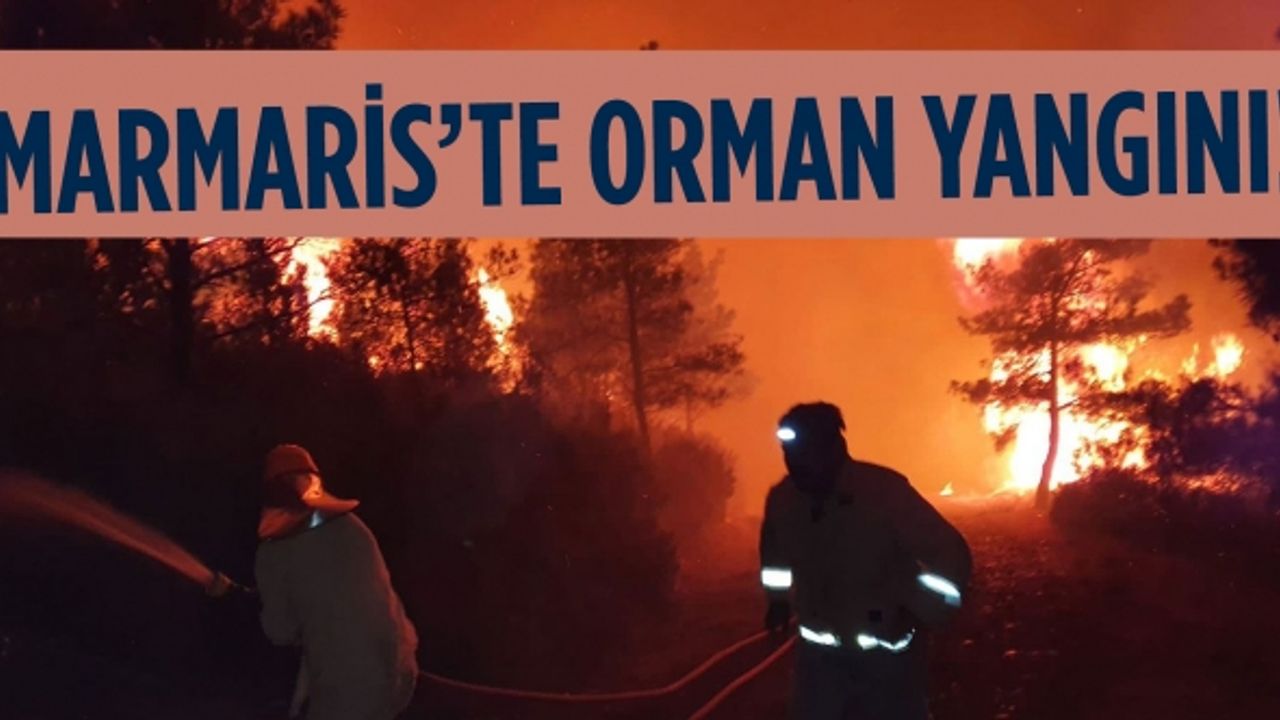 Marmaris'te ormanı arıcının ateşi yaktı