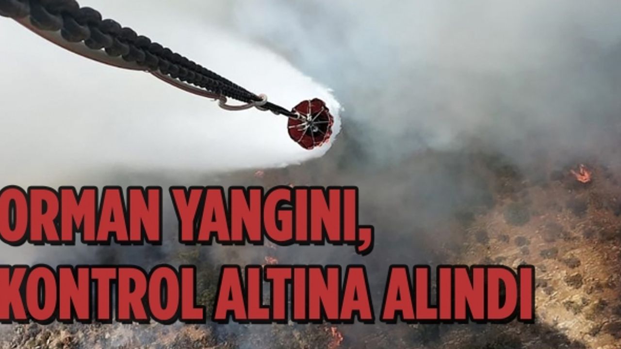 Mersin'deki orman yangını, havadan ve karadan müdahaleyle kontrol altına alındı