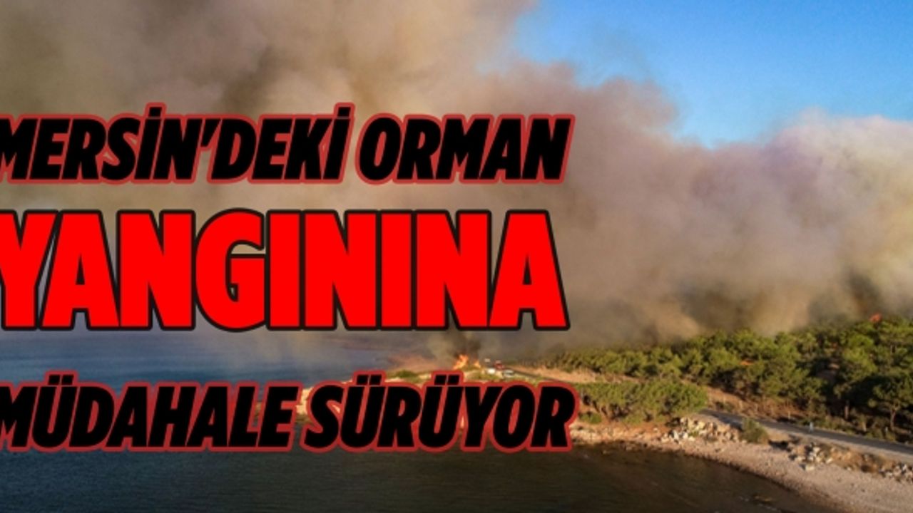 Mersin'deki orman yangınına müdahale sürüyor