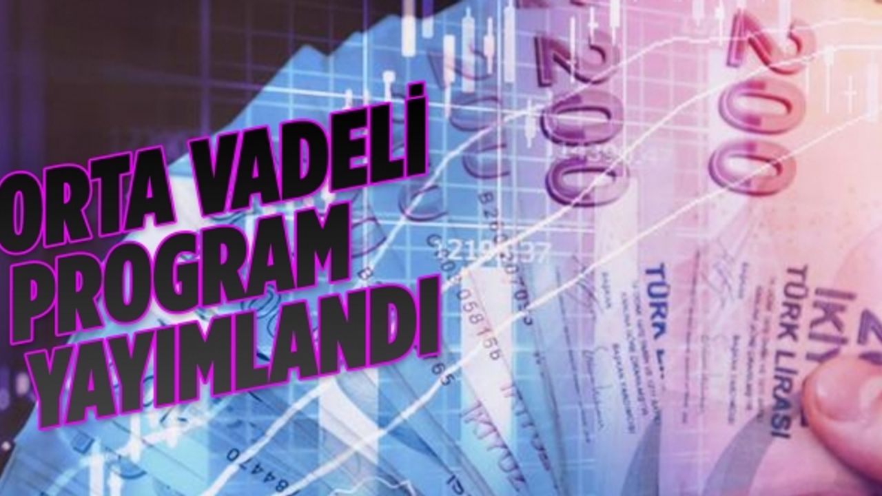 Orta Vadeli Program Resmi Gazete'de yayımlandı