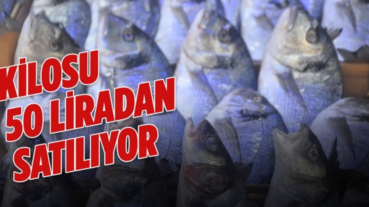 Sezonun ilk günlerinde balığa ilgi fazla